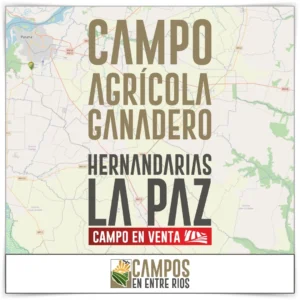 Vendemos campo agricola ganadero en Hernandarias