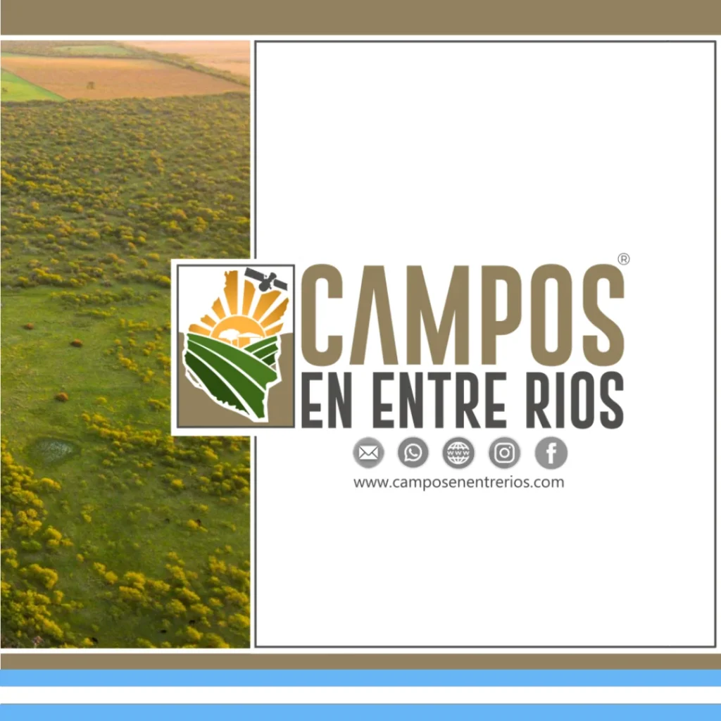 Campo AGRICOLA en Venta. 221 ha. Hernandarias, La Paz, Entre Rios