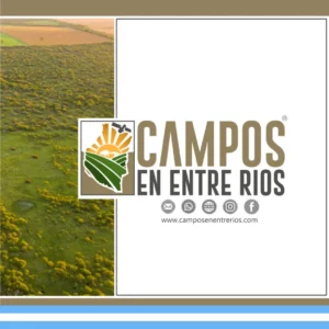 Campo AGRICOLA en Venta. 221 ha. Hernandarias, La Paz, Entre Rios: imagen 10