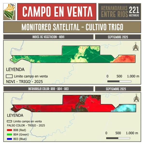 Campo AGRICOLA en Venta. 221 ha. Hernandarias, La Paz, Entre Rios - Image 7