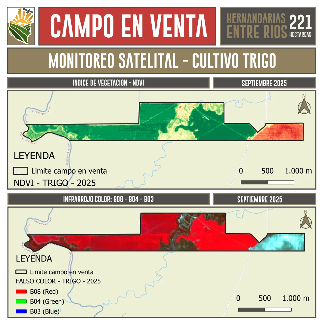 Campo AGRICOLA en Venta. 221 ha. Hernandarias, La Paz, Entre Rios - Imagen 7