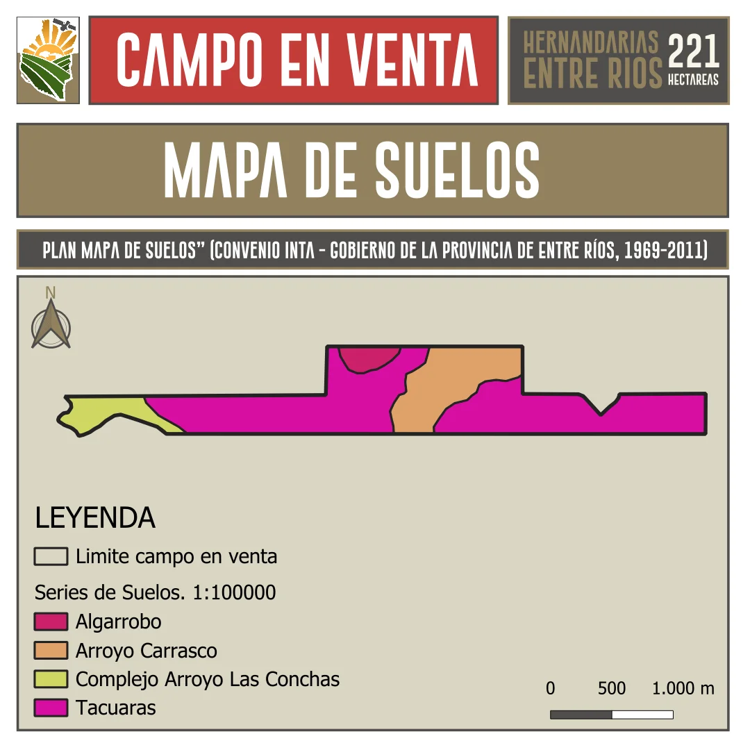 Campo AGRICOLA en Venta. 221 ha. Hernandarias, La Paz, Entre Rios - Imagen 9