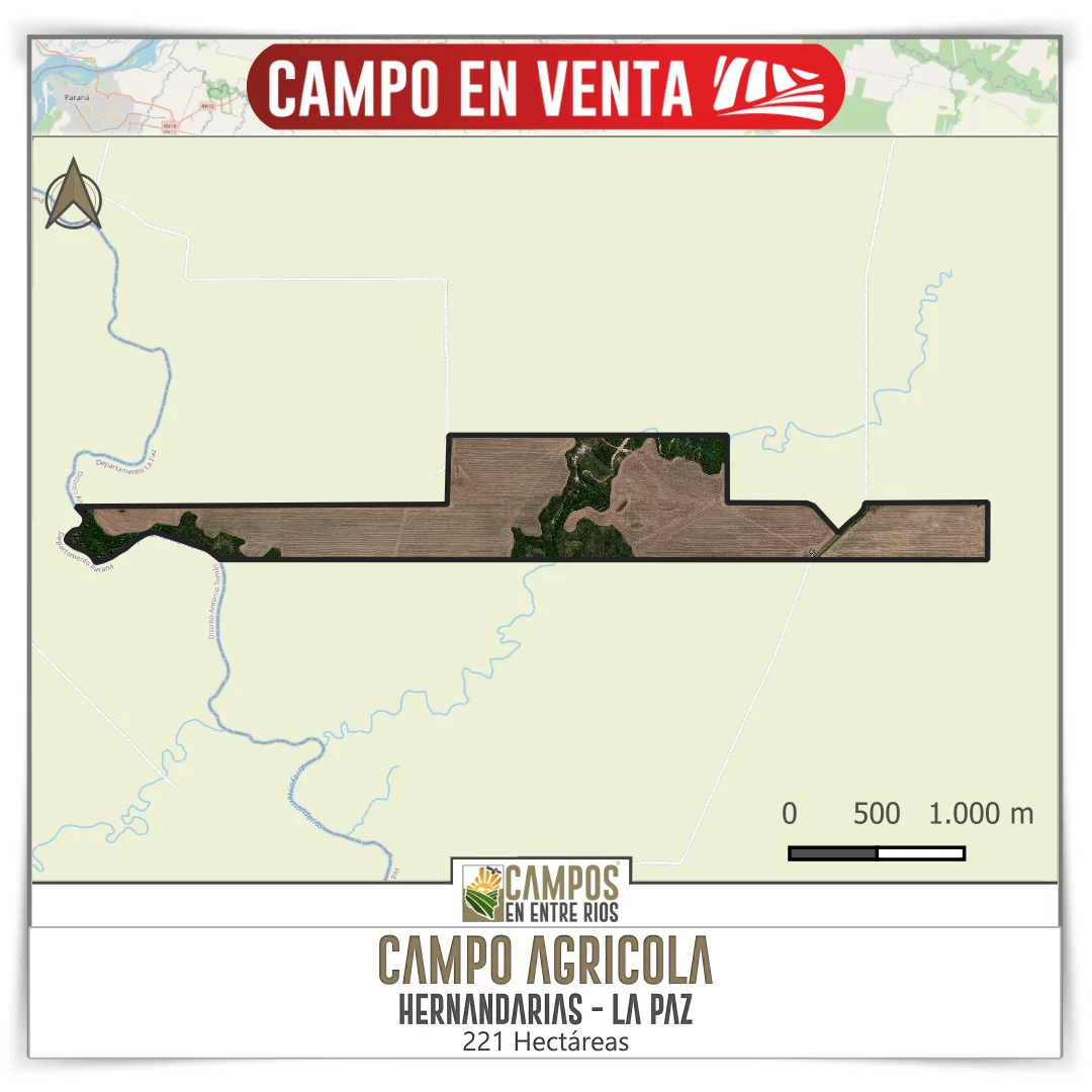 Campo AGRICOLA en Venta. 221 ha. Hernandarias, La Paz, Entre Rios - Imagen 2